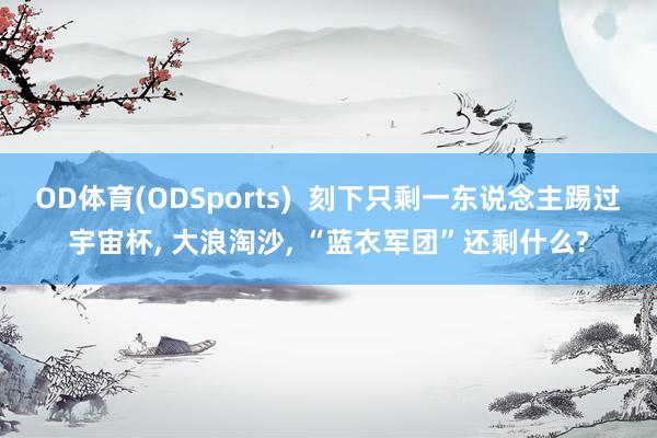 OD体育(ODSports)  刻下只剩一东说念主踢过宇宙杯， 大浪淘沙， “蓝衣军团”还剩什么?