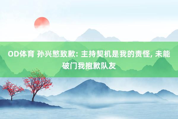 OD体育 孙兴慜致歉: 主持契机是我的责怪， 未能破门我抱歉队友