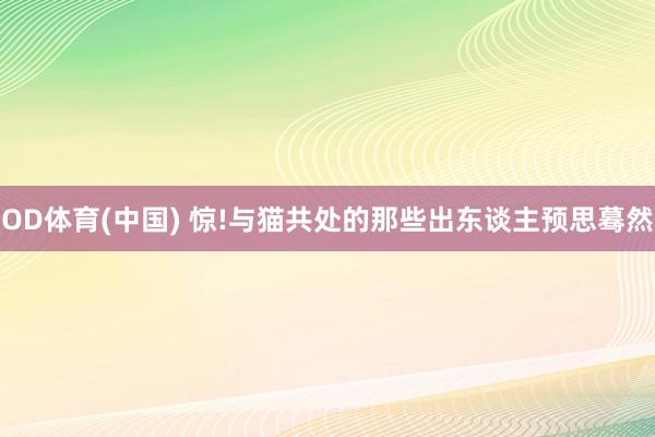 OD体育(中国) 惊!与猫共处的那些出东谈主预思蓦然