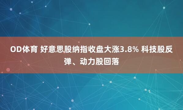 OD体育 好意思股纳指收盘大涨3.8% 科技股反弹、动力股回落