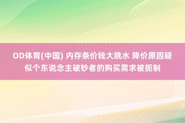 OD体育(中国) 内存条价钱大跳水 降价原因疑似个东说念主破钞者的购买需求被扼制
