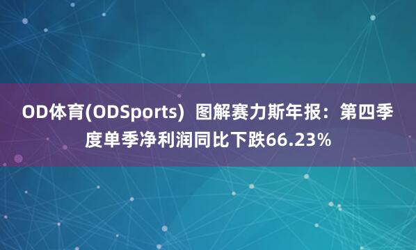 OD体育(ODSports)  图解赛力斯年报：第四季度单季净利润同比下跌66.23%