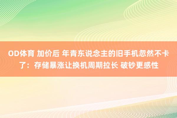 OD体育 加价后 年青东说念主的旧手机忽然不卡了:存储暴涨让换机周期拉长 破钞更感性