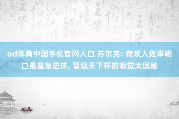 od体育中国手机官网入口 苏尔克: 我攻入处事糊口最遑急进球， 晋级天下杯的嗅觉太奥秘