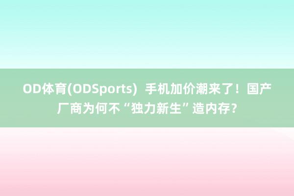 OD体育(ODSports)  手机加价潮来了！国产厂商为何不“独力新生”造内存？