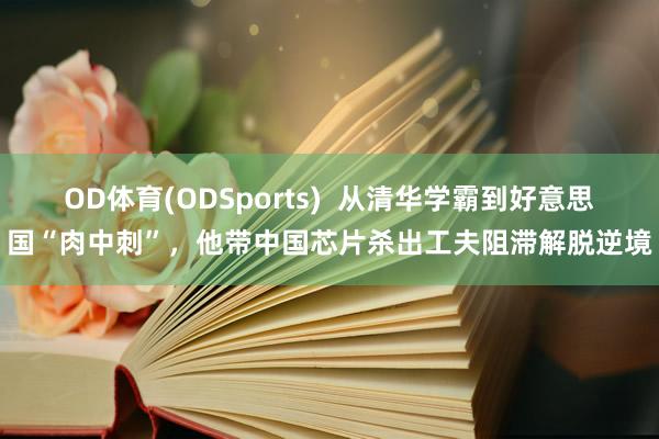 OD体育(ODSports)  从清华学霸到好意思国“肉中刺”，他带中国芯片杀出工夫阻滞解脱逆境