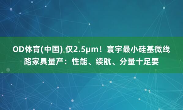 OD体育(中国) 仅2.5μm！寰宇最小硅基微线路家具量产：性能、续航、分量十足要