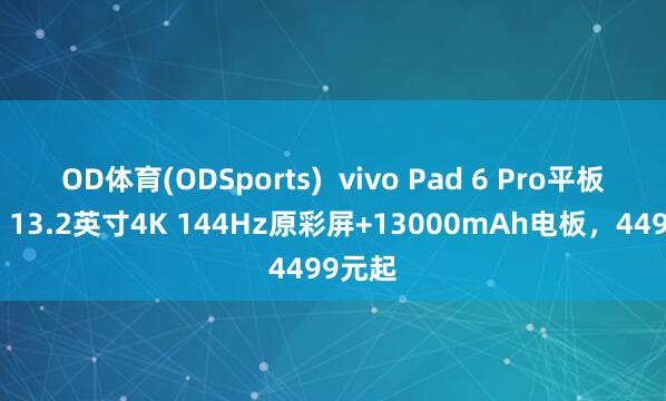 OD体育(ODSports)  vivo Pad 6 Pro平板发布：13.2英寸4K 144Hz原彩屏+13000mAh电板，4499元起