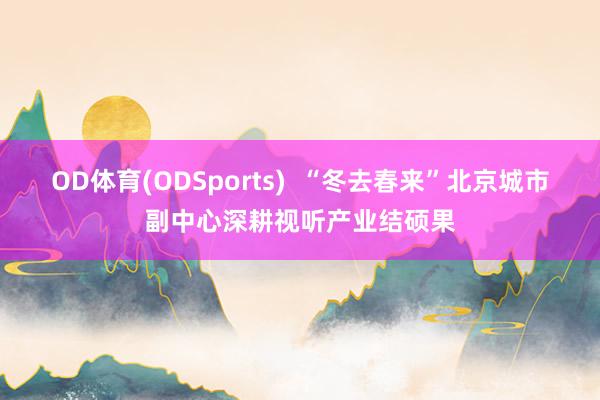OD体育(ODSports)  “冬去春来”北京城市副中心深耕视听产业结硕果