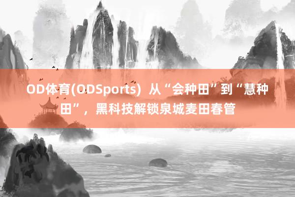 OD体育(ODSports)  从“会种田”到“慧种田”，黑科技解锁泉城麦田春管