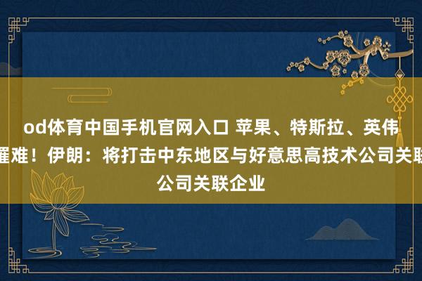 od体育中国手机官网入口 苹果、特斯拉、英伟达等罹难！伊朗：将打击中东地区与好意思高技术公司关联企业