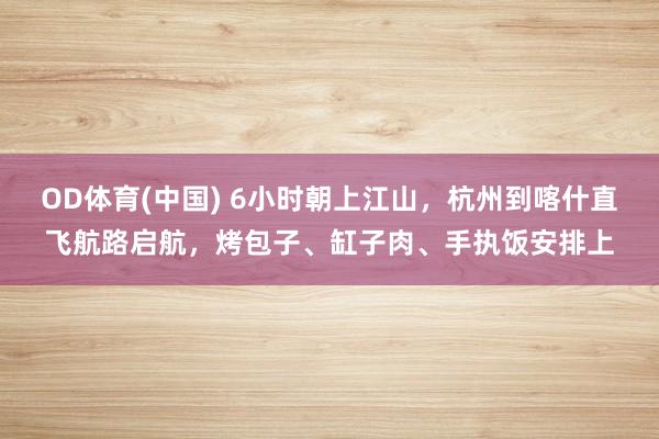OD体育(中国) 6小时朝上江山，杭州到喀什直飞航路启航，烤包子、缸子肉、手执饭安排上