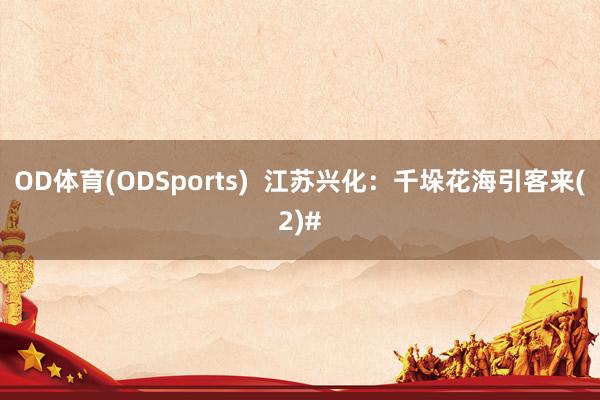 OD体育(ODSports)  江苏兴化：千垛花海引客来(2)#