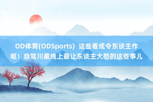 OD体育(ODSports)  这些看成令东谈主作呕！自驾川藏线上最让东谈主大怒的这些事儿