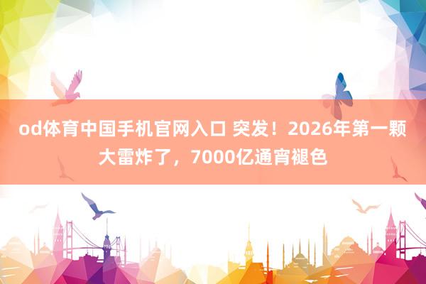 od体育中国手机官网入口 突发！2026年第一颗大雷炸了，7000亿通宵褪色