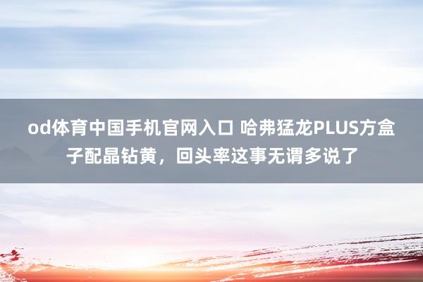 od体育中国手机官网入口 哈弗猛龙PLUS方盒子配晶钻黄，回头率这事无谓多说了