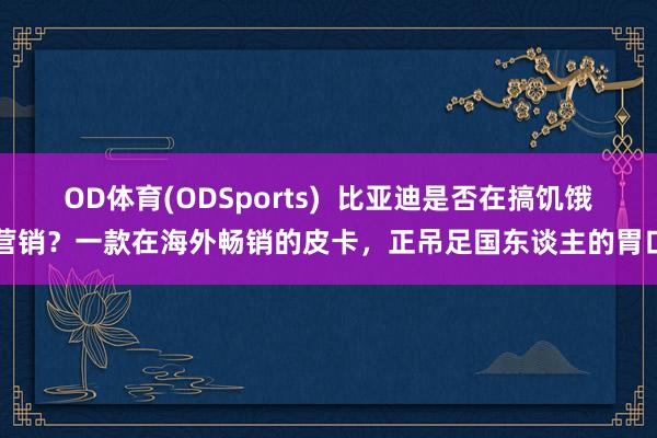 OD体育(ODSports)  比亚迪是否在搞饥饿营销？一款在海外畅销的皮卡，正吊足国东谈主的胃口