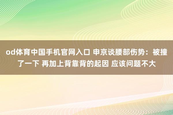 od体育中国手机官网入口 申京谈腰部伤势：被撞了一下 再加上背靠背的起因 应该问题不大