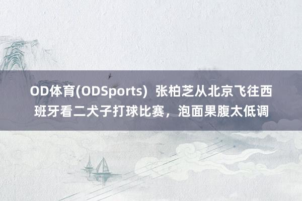 OD体育(ODSports)  张柏芝从北京飞往西班牙看二犬子打球比赛，泡面果腹太低调