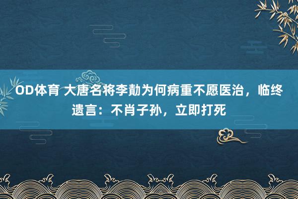 OD体育 大唐名将李勣为何病重不愿医治，临终遗言：不肖子孙，立即打死